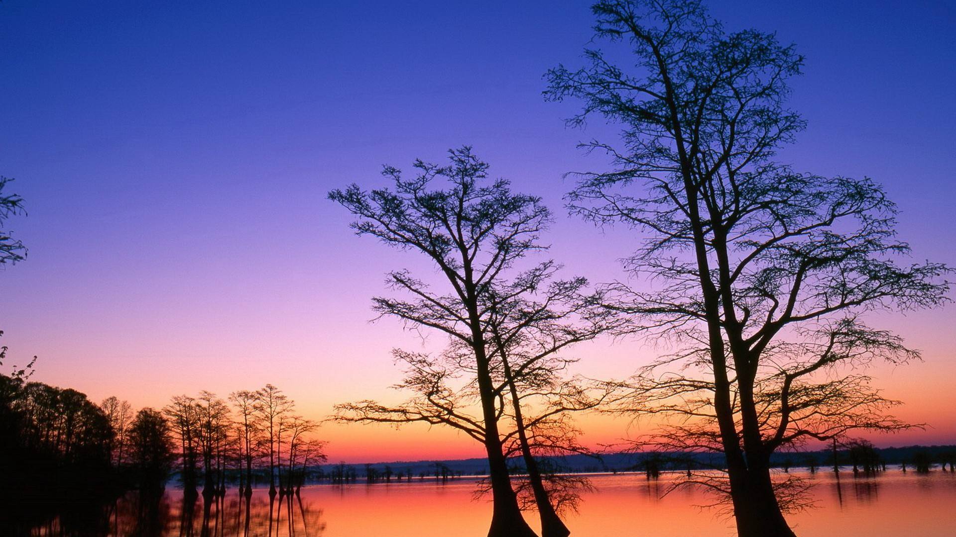 滾珠絲杠如何維護(hù)呢？